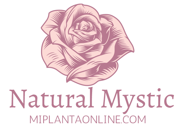 Mi Planta Online
